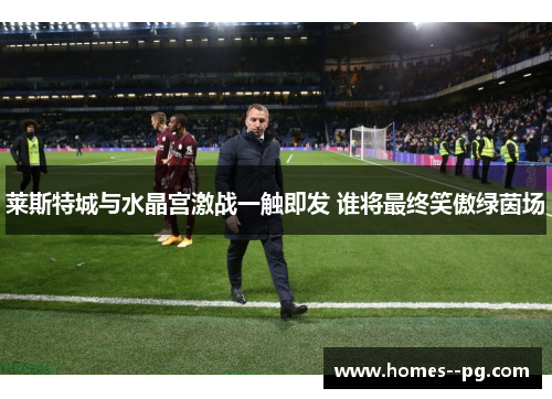 莱斯特城与水晶宫激战一触即发 谁将最终笑傲绿茵场