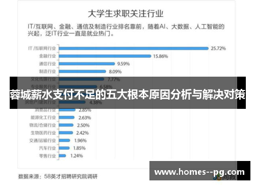 蓉城薪水支付不足的五大根本原因分析与解决对策
